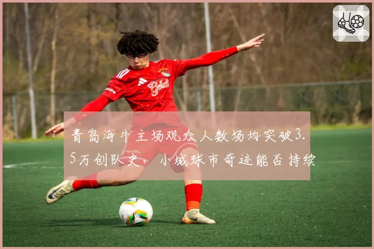 青岛海牛主场观众人数场均突破3.5万创队史,小城球市奇迹能否持续?