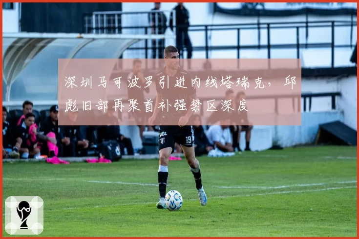 深圳马可波罗引进内线塔瑞克，邱彪旧部再聚首补强禁区深度